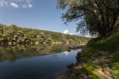 Nehir ve mavi gökyüzü ile yaz manzarası