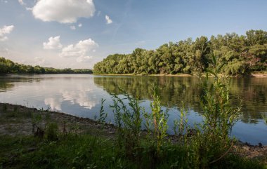 Nehir ve mavi gökyüzü ile yaz manzarası