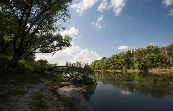 Summer Landscape River Blue Sky — Stock Photo, Image