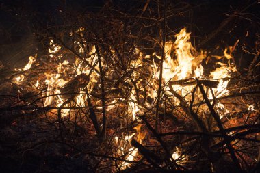 Yangın arka plan gecede alevler.