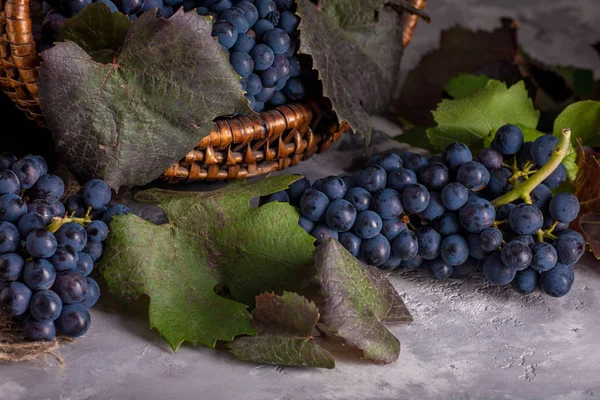 Ainda Vida Com Uvas Vermelhas Cesto Estilo Rústico — Fotografia de Stock