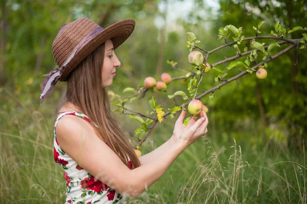 Krásná Dívka Stojí Pozadí Zahradní Apple Dívka Oblečená Letních Šatech — Stock fotografie