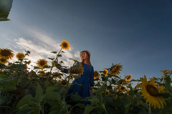 Chica Vestido Azul Hojas Con Sombrero Campo Girasoles Puesta Del —  Fotos de Stock