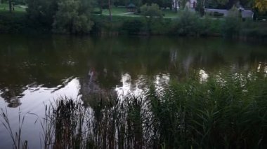 Göl ve bir görünümünü Kurki Manastırı. Moldova. Eski Orhei ve Kurki Manastırı