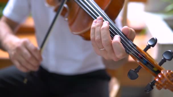 Primer Plano Del Músico Tocando Violín Música Clásica — Vídeo de stock