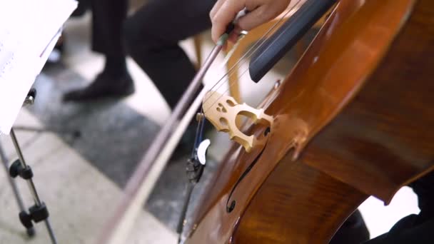 男の手がチェロの弓でチェロを演奏します 男性手演奏チェロ チェロ弓のクローズ アップ 古典的なオーケストラの音楽家 — ストック動画