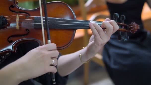 Close Músico Tocando Violino Música Clássica — Vídeo de Stock