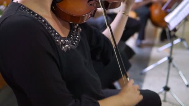 Primer Plano Del Músico Tocando Violín Música Clásica — Vídeo de stock