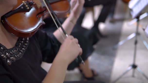 Primer Plano Del Músico Tocando Violín Música Clásica — Vídeo de stock