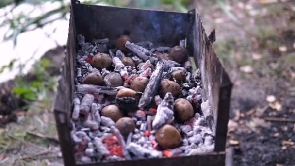 Kartoffeln Auf Dem Grill Freien Gekocht — Stockvideo