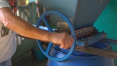 Vintner, üzümler üzerinde el yapımı ezici kullanıyor. Geleneksel zanaatkar şarap..