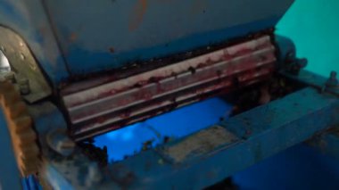 Vintner, üzümler üzerinde el yapımı ezici kullanıyor. Geleneksel zanaatkar şarap..