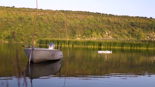 Πλοίο Αγκυροβόλησε Στην Όχθη Του Ποταμού — Αρχείο Βίντεο