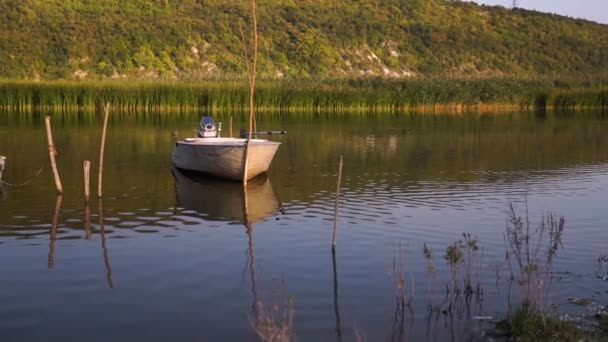 Statku Zakotwiczonego Brzegu Rzeki — Wideo stockowe