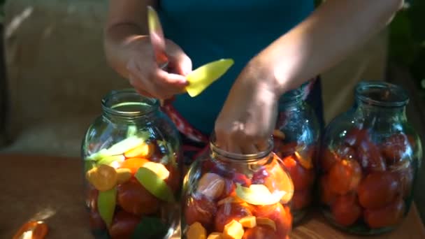 Mulher põe tomates no jarro da preservação — Vídeo de Stock