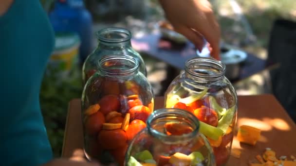 Mulher põe tomates no jarro da preservação — Vídeo de Stock