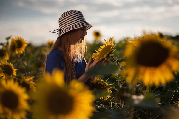 Chica en un vestido azul hojas con sombrero en el campo de los girasoles —  Fotos de Stock
