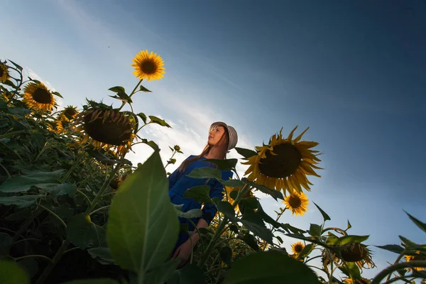 Ragazza in un vestito blu foglie con cappello in campo di girasoli — Foto Stock