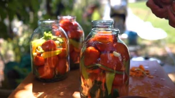 Woman Puts Tomatoes Jar Preservation Preparation Canned Vegetables — Stock Video