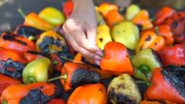 Red Yellow Sweet Pepper Cooking Grill Coals Chef Gloves Turns — Stock Video