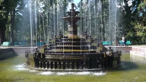 Hermosa Fuente Parque Ciudad Arquitectura Barroca Steadicam Disparar — Vídeos de Stock