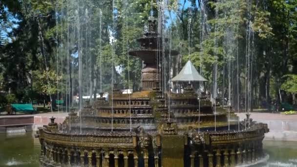 Hermosa Fuente Parque Ciudad Arquitectura Barroca Steadicam Disparar — Vídeos de Stock