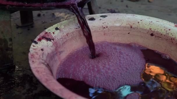 Yaşlı Adam Şarap Üretimi Için Üzüm Çökmesine Bir Şarap Basın — Stok video
