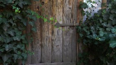 Yeşil kapı. Ahşap doku. Eski ahşap kapılar. Steadicam atış.