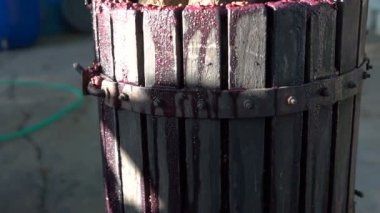 Kaza üzüm şarap kursları için tuşuna basın. Ev yapımı şarap yapımı. Moldova Cumhuriyeti.