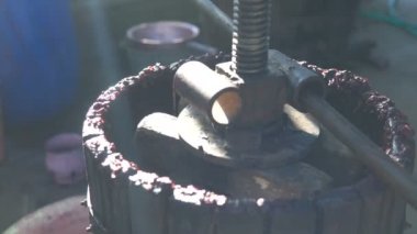 Kaza üzüm şarap kursları için tuşuna basın. Ev yapımı şarap yapımı. Moldova Cumhuriyeti.