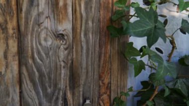 Yeşil kapı. Ahşap doku. Eski ahşap kapılar. Steadicam atış.