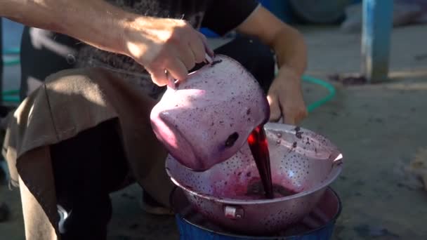 自家製ワインの発酵に取り組んでいる農家 バケツの中にワインを注ぐ モルドバ共和国 — ストック動画