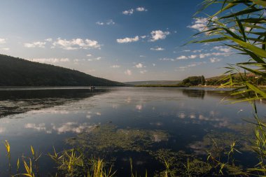 yaz, yatay, nehir, mavi gökyüzü ve yansımaları