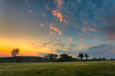 Manzara, güneşli bir tarlada şafak