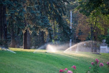 Otomatik yağmurlama sulama bahçede. Şehir Parkı.