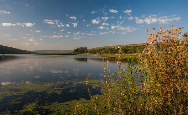 Sommarlandskap Med Floden Blå Himmel Och Reflektioner — Stockfoto