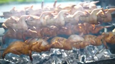 Barbekü bıldırcın kuş spinner üzerinde sıcak kömür ile yemek kapatın