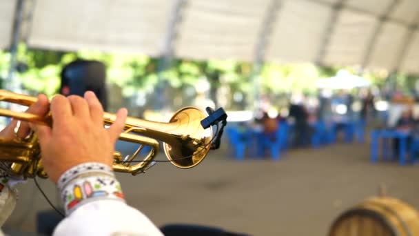Музыкант Поет Трубе Национальном Костюме — стоковое видео