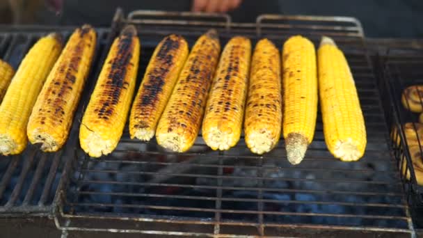 Close Appetizing Grilled Sweet Corn Bbq Grill Street Food Festival — Stock Video