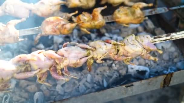 Close Cozinhar Churrasco Codorna Pássaro Com Spinner Carvão Quente — Vídeo de Stock