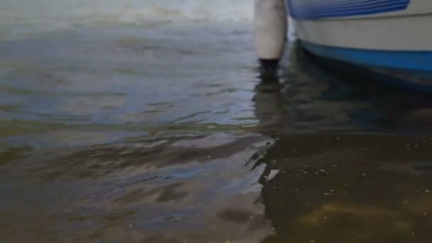 Fiskebåten Förankrade Till Banken Floden — Stockvideo