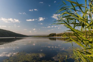 yaz, yatay, nehir, mavi gökyüzü ve yansımaları