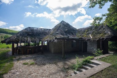 reed ormanda eski evleri kaplı