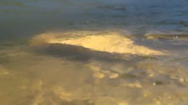 Fotoğrafçı ve seyahat pictureson nehir banka alır. Profesyonel fotoğrafçı.