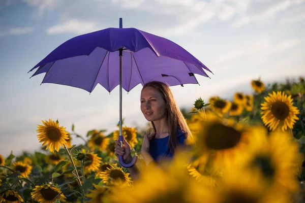 Vakker Kvinne Med Blå Paraply Solsikkeåker Ved Solnedgang – stockfoto