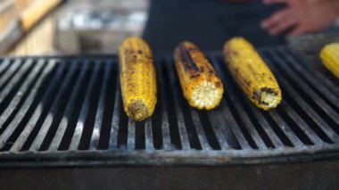 İştah açıcı ızgara Mısır Barbekü ızgara, yakın çekim. Sokak yemek Festivali.