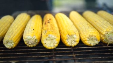 İştah açıcı ızgara Mısır Barbekü ızgara, yakın çekim. Sokak yemek Festivali.