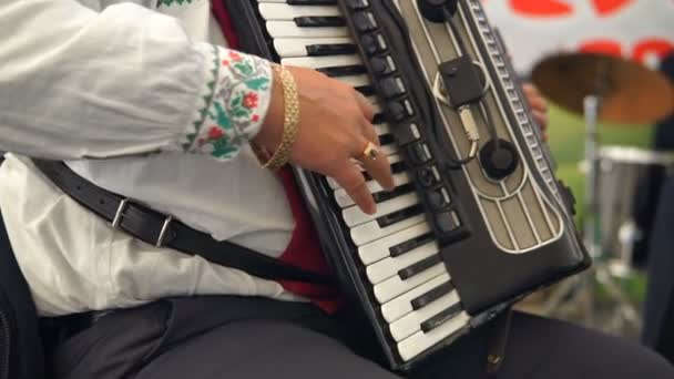 Adult Man Plays Accordion National Costume Musical Quartet Playing Musicians — Stock Video