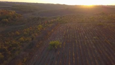 Hava doğa manzara güzel tepeler orman alanları ve üzüm bağları Moldova.