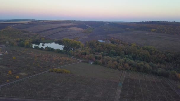 秋の湖の上のフライト 秋の自然の空中風景 湖と色鮮やかな森に秋自然空中風景フライト — ストック動画